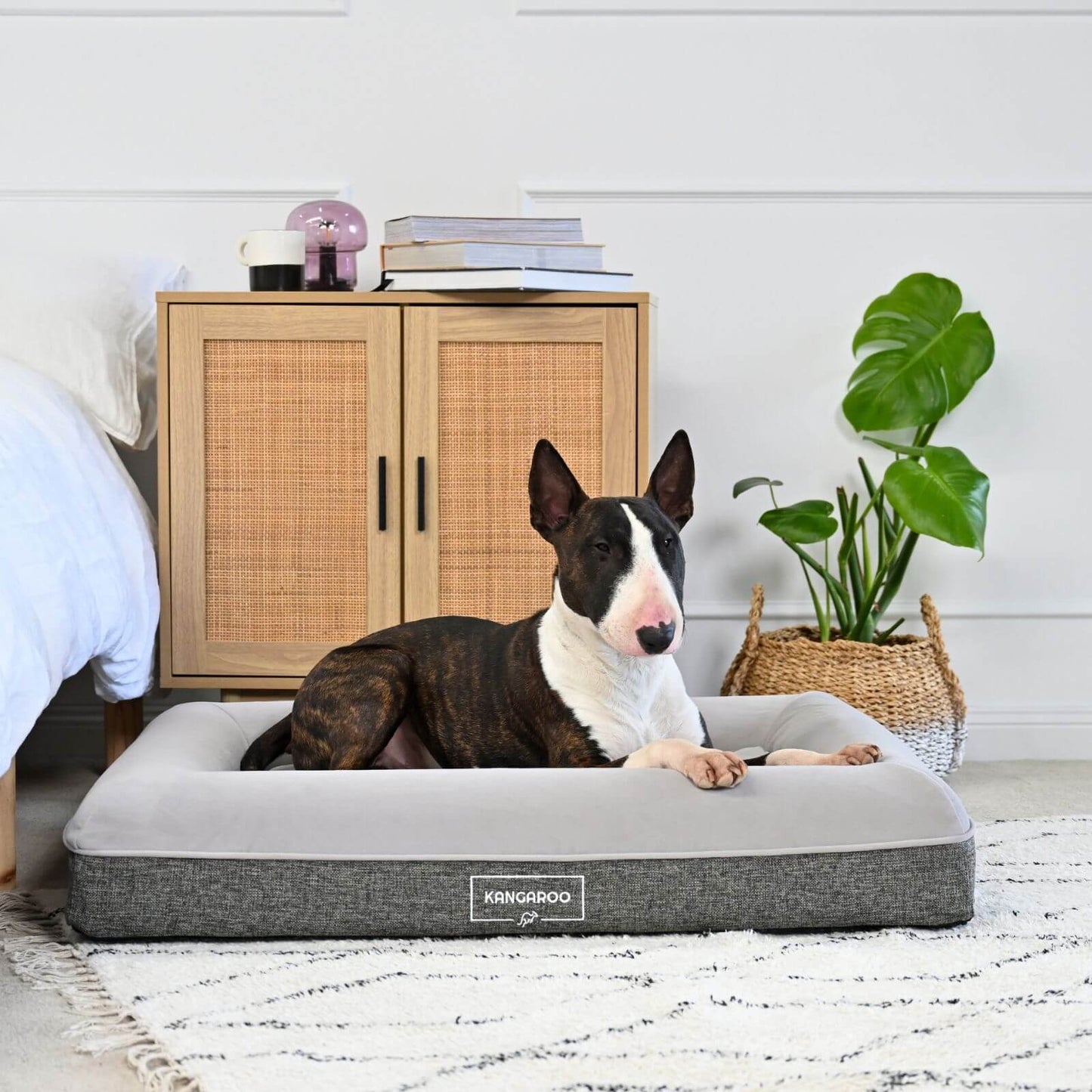 Orthopaedic Memory Foam Dog Bed