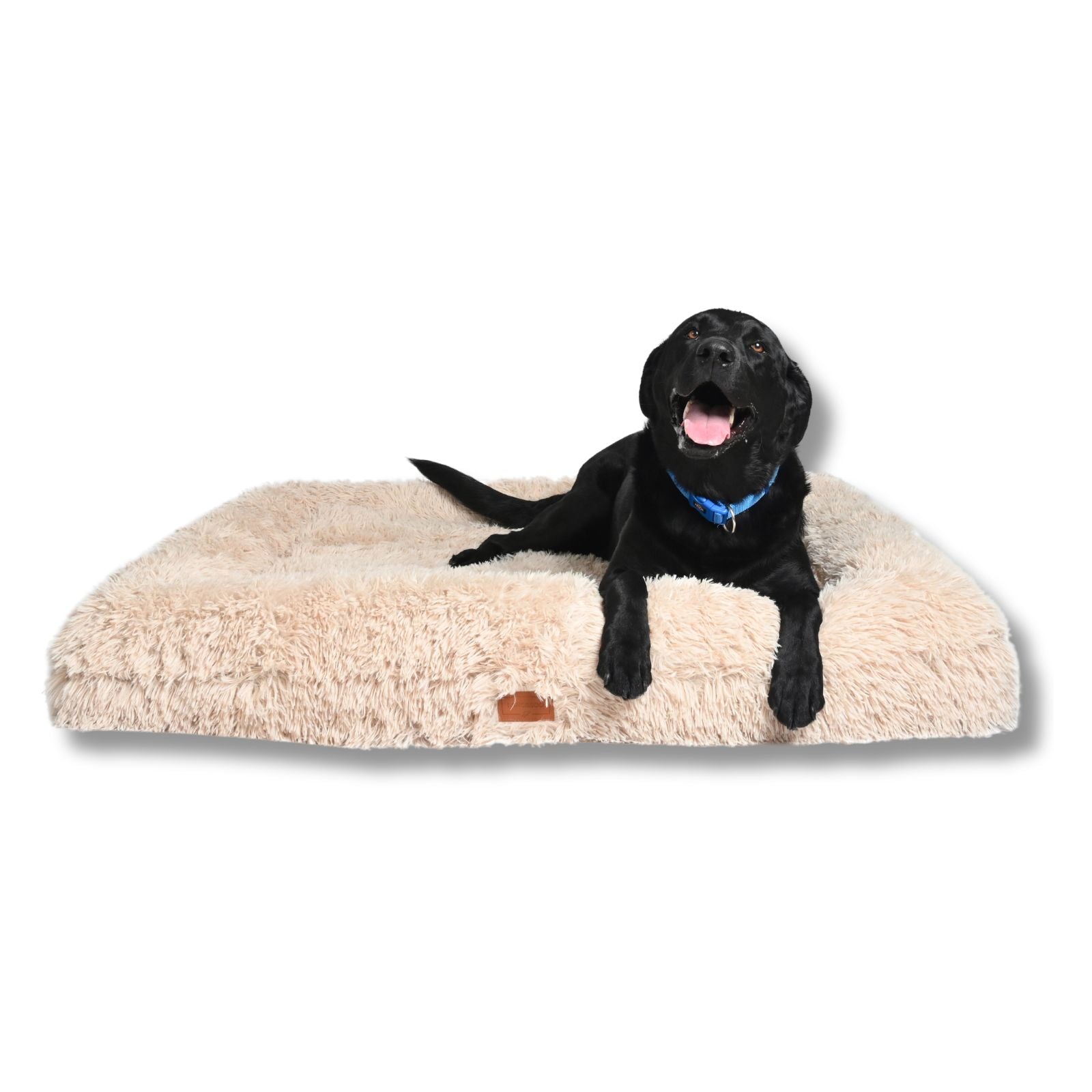 Kangaroo Bed Calming and Antianxiety dog bed collection