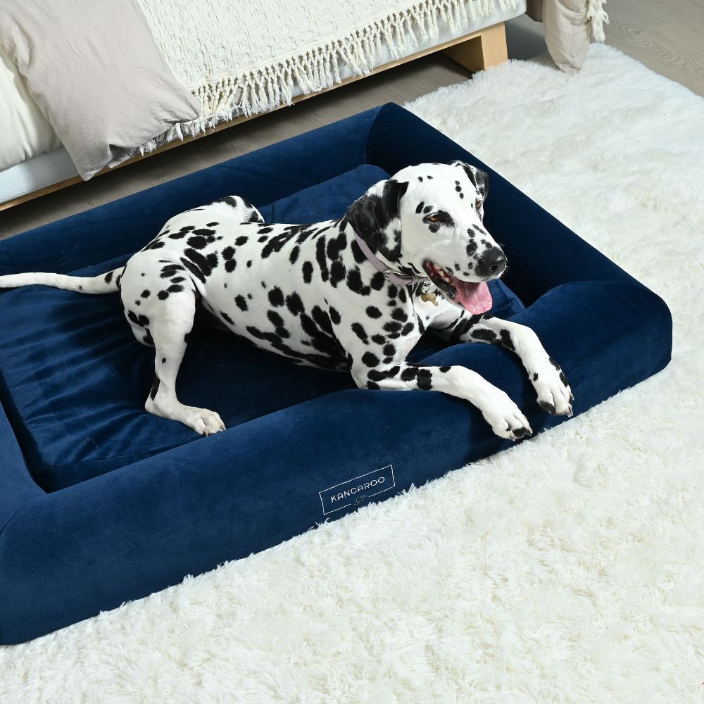 Kangaroo Bed orthopaedic dog bed perfect for large breed dogs
