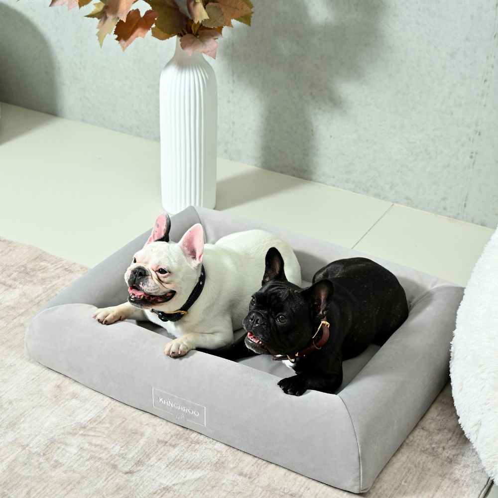 Orthopaedic Memory Foam Dog Bed