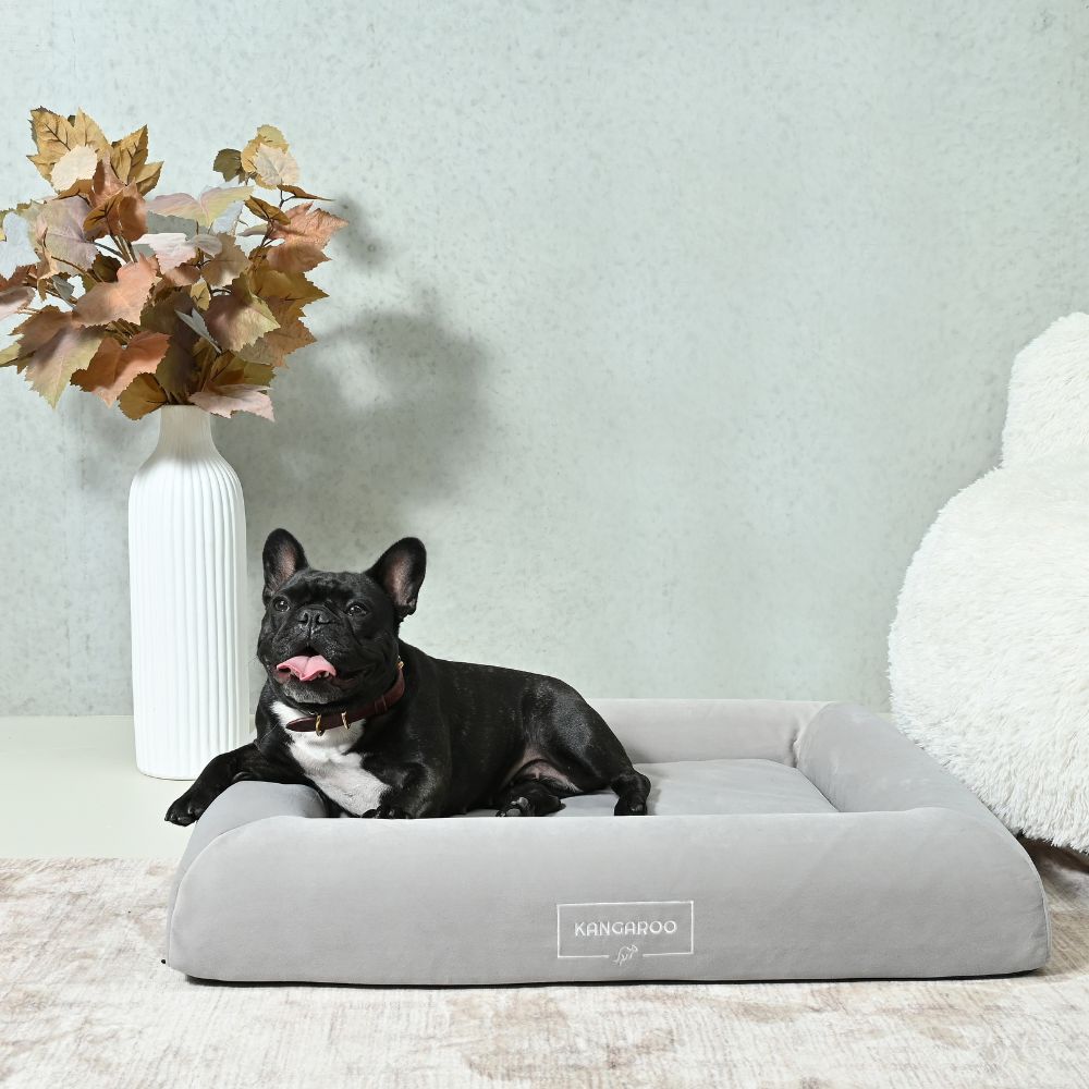 Orthopaedic Memory Foam Dog Bed