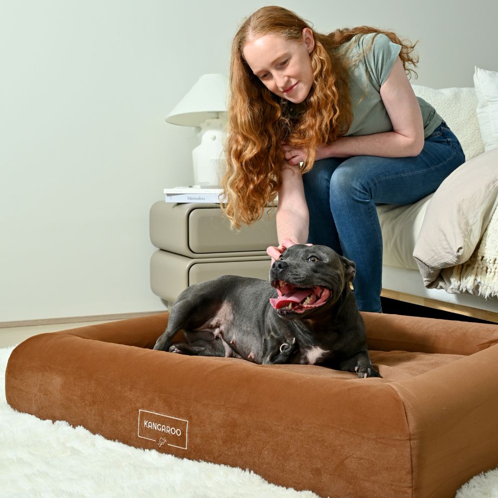 Orthopaedic Memory Foam Dog Bed