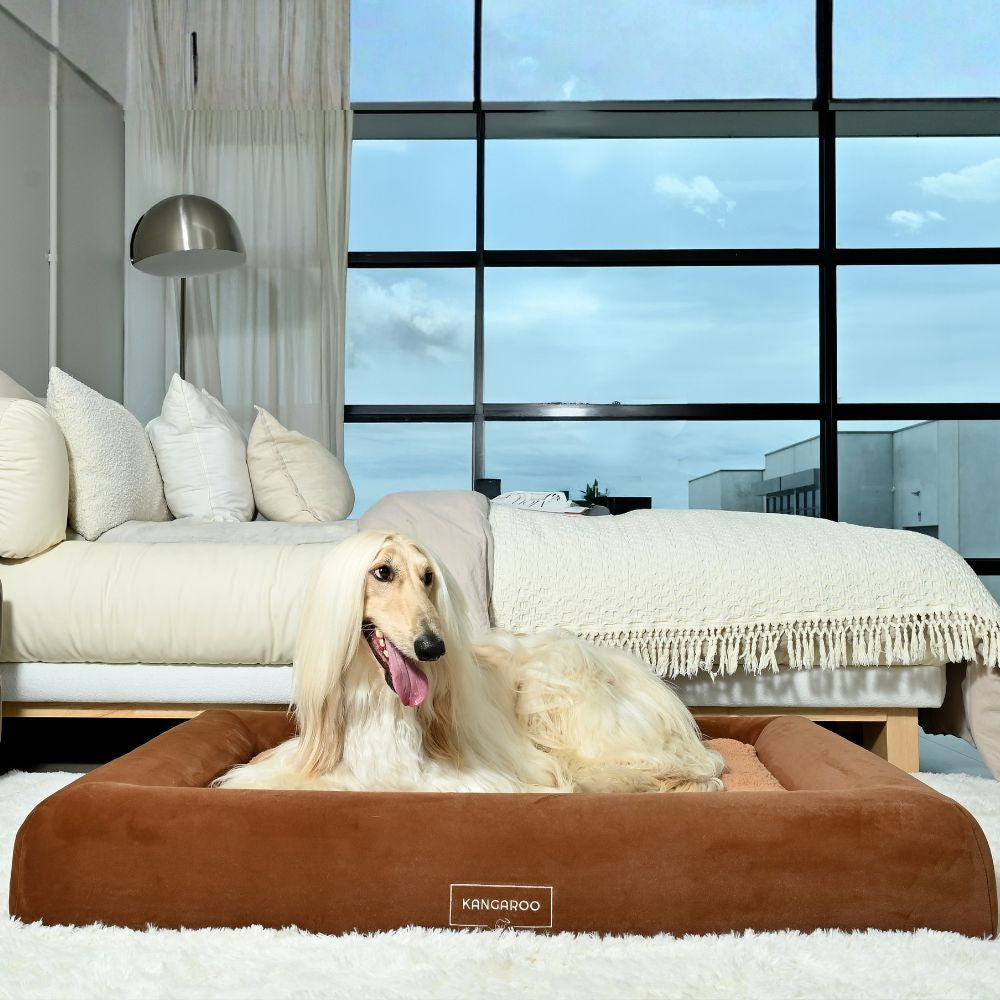 Kangaroo Bed orthopaedic memory foam dog bed in Cocoa colour, Large size