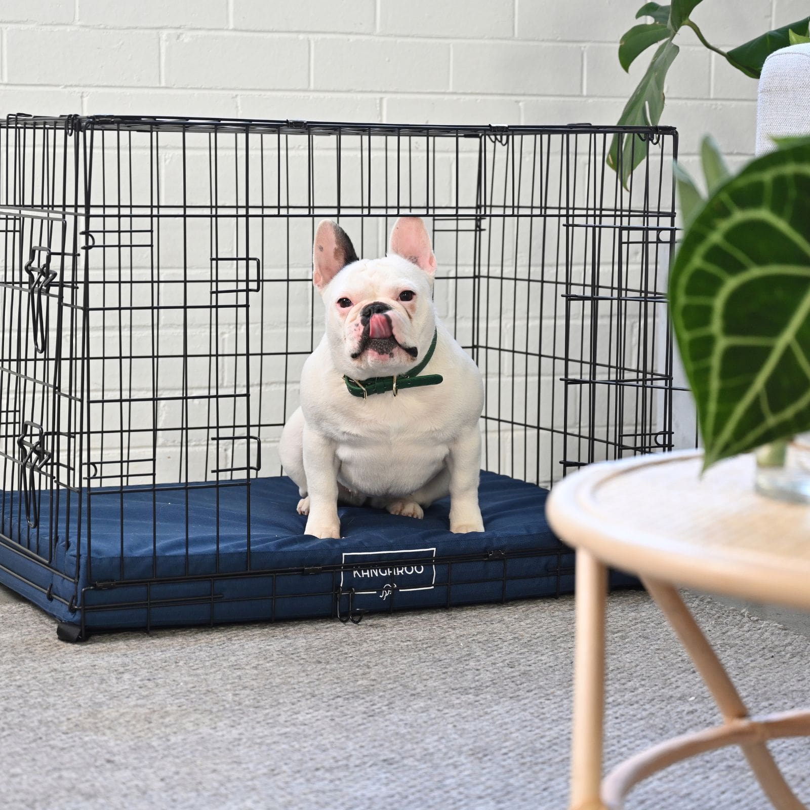 Kangaroo Dog Crate Mat Orthopaedic memory foam mat with Tough RipStop fabric Kangaroo Bed