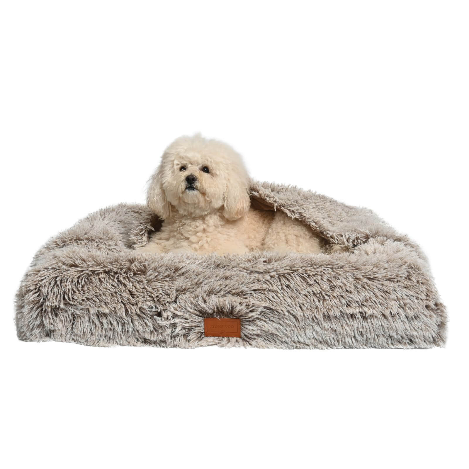 Dog store pouch bed