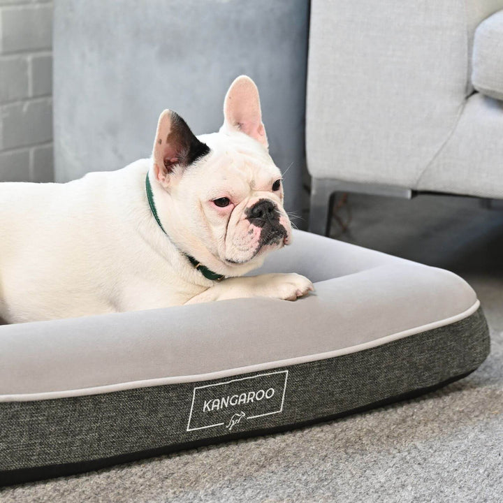 Kangaroo Dog Beds Collection World's 1st All Season Dog Bed