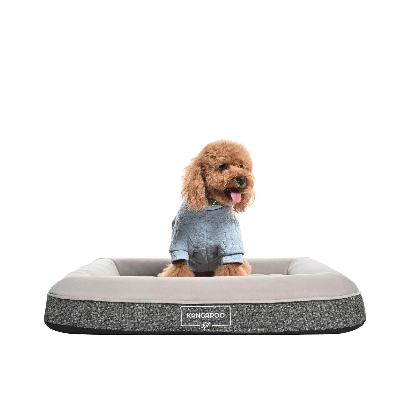 Memory foam dog beds canada best sale