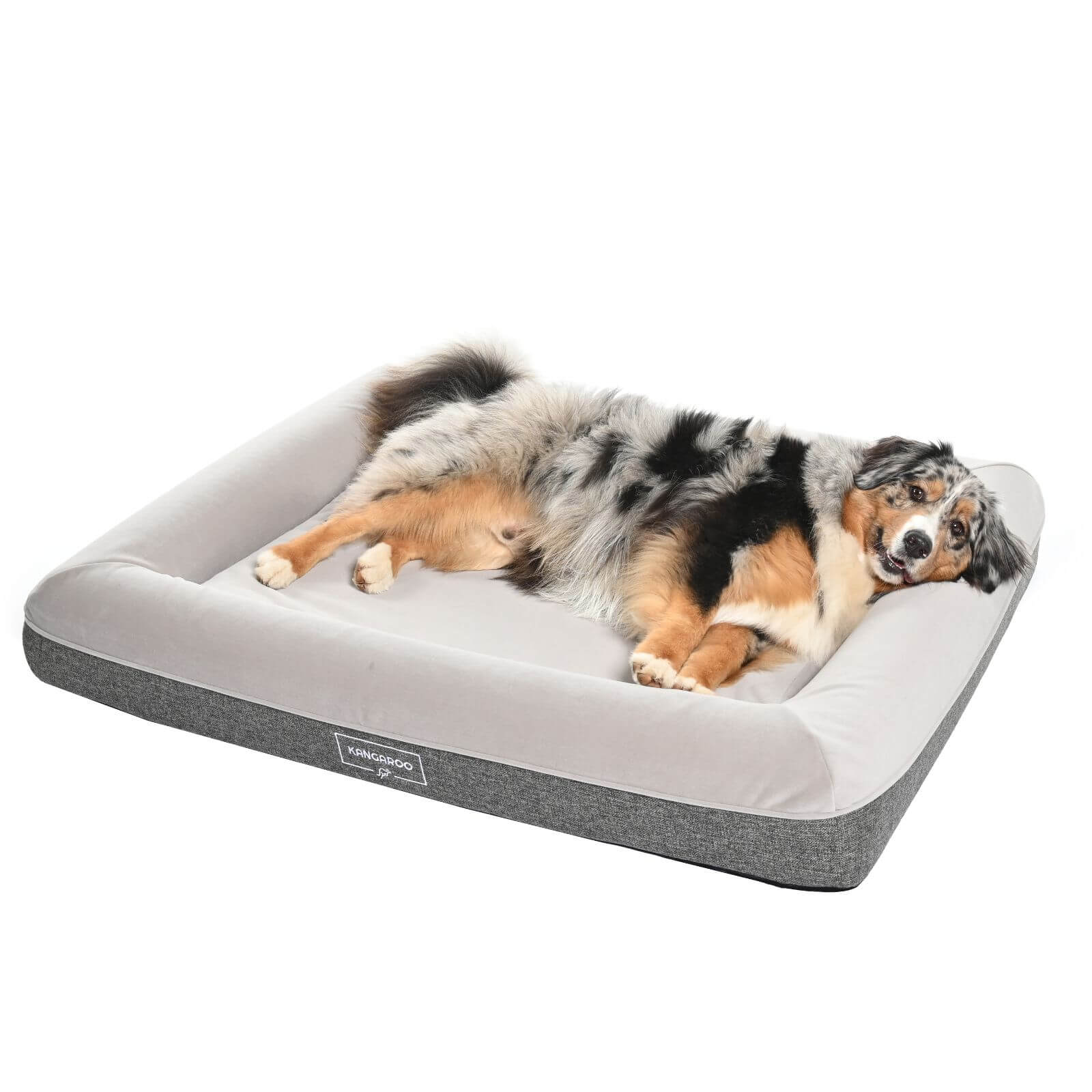 Dog bed memory foam sales large