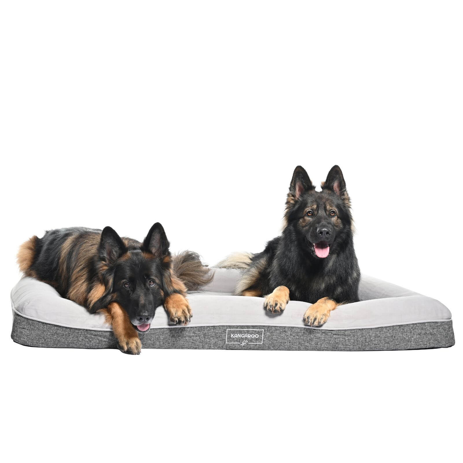 Extra large dog clearance mattress